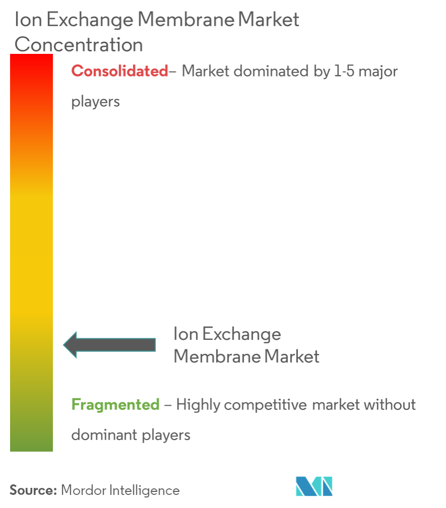 3M, AGC ENGINEERING Co.Ltd.、Dioxide Materials、DuPont de Nemours, Inc.、Evergreen Technologies Pvt Ltd、Fujifilm Manufacturing Europe BV